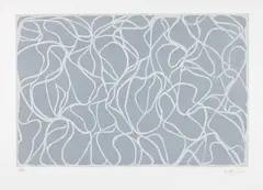 Brice Marden, Winter Muse, 2002, Etching and lithograph in colors, on Somerset Satin paper, with full margins,