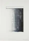 Jasper Johns, Ruler