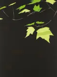 Alex Katz, Black Brook, 1989, Aquatint with litho crayon in colors, on Somerset Satin paper, the full sheet,