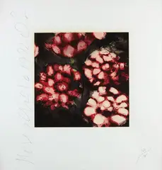 Roses by Donald Sultan, 1992, Screenprint in colors, on wove paper, with full margins,, sold Apr 2016