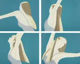 Alex Katz, Night: William Dunas Dance 1-4/Pamela, 1983, The complete set of four lithographs in colors, on Arches Cover paper, the full sheets,