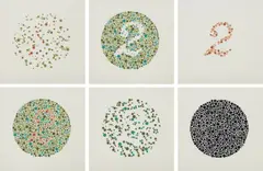 Sarah Sze, 2, 2011, The complete set of six screenprints in colors, on Coventry paper, with full margins,