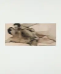 Nudes: one plate by Thomas Ruff, 2001, Iris print in colors, on Somerset Velvet rag paper, with full margins,, sold Apr 2016