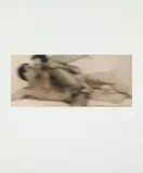 Thomas Ruff, Nudes: one plate, 2001, Iris print in colors, on Somerset Velvet rag paper, with full margins,