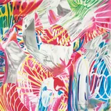 James Rosenquist, Light Catcher