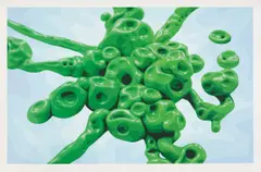 Alexander Ross, Untitled, 2005, Screenprint in colors, on Rising Conservation Board, with full margins,