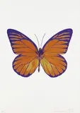 Prairie Copper/Oriental Gold/Imperial Purple, from The Souls I by Damien Hirst, 2010, Foil block print in colors, on Arches 88 Archival paper, with full margins,, sold Apr 2016