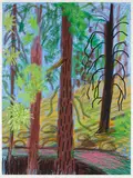 David Hockney, Untitled No. 6 from the Yosemite Suite, 2010, iPad drawing in colors, printed on wove paper, with full margins