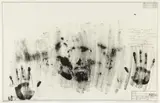 Jasper Johns, Skin with O'Hara Poem