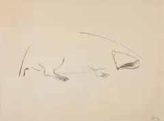 Animal by Morris Graves, 1954, Sumi ink drawing, on tissue-thin Japanese paper backed to wove paper, sold Oct 2016