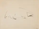 Morris Graves, Animal