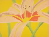 Alex Katz, Day Lily 2, 1969, Lithograph in colors, on Arches paper, the full sheet