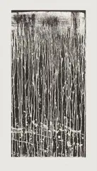 Long Vertical Falls #4 by Pat Steir, 1991, Aquatint, on wove paper, with full margins, sold Oct 2016