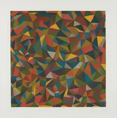 Sol LeWitt, Complex Forms: Plate 1, 1990, Etching with aquatint in colors, on Somerset paper, with full margins