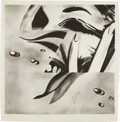 James Rosenquist, Zone, 1972, Lithograph, on Hodgkinson handmade paper, with full margins,