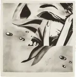 James Rosenquist, Zone, 1972, Lithograph, on Hodgkinson handmade paper, with full margins,