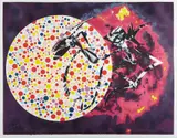 James Rosenquist, Woman in the Sun