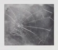 Vija Celmins, Untitled (Web #5), 2009, Mezzotint, on Hahnemühle paper, with full margins