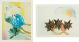Kiki Smith, Miracle; and Cloud