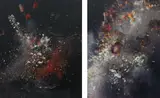 Ori Gersht, Time After Time: Untitled 11; and Untitled 21, 2006-07, Two chromogenic prints, one mounted to Dibond, one to aluminum, the full sheets
