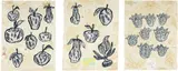 Donald Baechler, Flowers and Fruits: three plates, 1990, Three lithographs in colors with relief printing, on wove paper, the full sheets