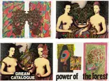 Keiichi Tanaami, Blessing of the forest, 1991, The complete set of 30 screenprints in colors, on wove paper, the sheets loose with full margins, with a booklet and two accessories, all contained in the original cloth bound portfolio