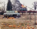 Joel Sternfeld, McLean Virginia, December 4