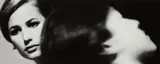 Sam Samore, Allegories of Beauty (Incomplete) #13, 1995, Gelatin silver print, flush-mounted