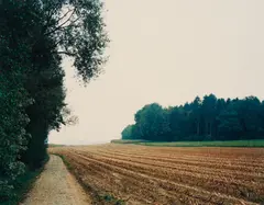Mais-Acker Nach der Ernte n°34, Winterthur by Thomas Struth, 1993, Chromogenic print, sold Apr 2016