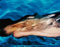 Mermaid 106, Miami by Michael Dweck, 2007, Chromogenic print, sold Apr 2016