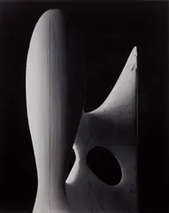 Conceptual Forms 0012, Diagonal Clebsch surface, cubic with 27 lines by Hiroshi Sugimoto, 2004, Gelatin silver print, flush-mounted to board, offered Apr 2016