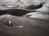 Sahara, South of Djanet, Algeria by Sebastião Salgado, 2009, Gelatin silver print, offered Apr 2016