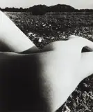Eygalières, France by Bill Brandt, 1953, Gelatin silver print, printed 1970, sold Apr 2016