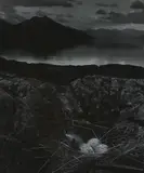 Bill Brandt, Gull's Nest, Late on Midsummer Night, Isle of Skye