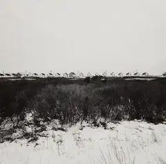 Harry Callahan, Cape Cod, 1973, Gelatin silver print, printed later