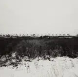 Harry Callahan, Cape Cod