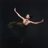 Melvin Sokolsky, Fly Green Angel, New York