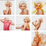 Bert Stern, The Marilyn Portfolio