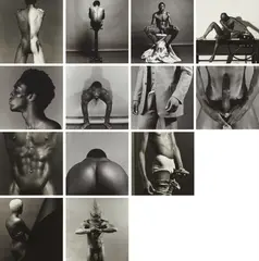 Z Portfolio by Robert Mapplethorpe, Washington, D.C.: Harry Lunn; New York: Robert Miller, 1981.Thirteen selenium toned gelatin silver prints, sold Apr 2016