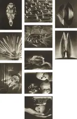Gift of the Commonplace by Ruth Bernhard, San Francisco: Joseph G. Folberg and Vision Editions, 1994. Ten platinum-palladium prints, sold Apr 2016