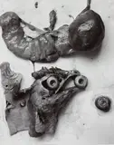Frederick Sommer, The Anatomy of a Chicken