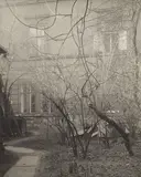 Josef Sudek, View of my Garden