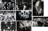 Leonard Freed, Selected images from Police Work