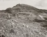 Robert Adams, Clearcut and burned, east of Arch Cape, Oregon, 1976, Gelatin silver print, printed 1979