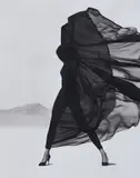 Herb Ritts, Versace, Veiled Dress, El Mirage