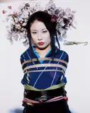 Nobuyoshi Araki, Kinbaku