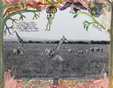 Peter Beard, Giraffes and Zebras, 1964, Gelatin silver print with watercolor and ink, executed 2010
