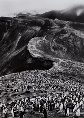 Chinstrap Penguins (Pygoscelis Antarctica), Deception Island, Antarctica by Sebastião Salgado, 2005, Gelatin silver print, offered Oct 2016
