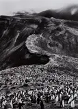 Chinstrap Penguins (Pygoscelis Antarctica), Deception Island, Antarctica by Sebastião Salgado, 2005, Gelatin silver print, offered Oct 2016