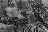 Serra Pelada Gold Mine, Brazil by Sebastião Salgado, 1986, Gelatin silver print, printed later, sold Oct 2016